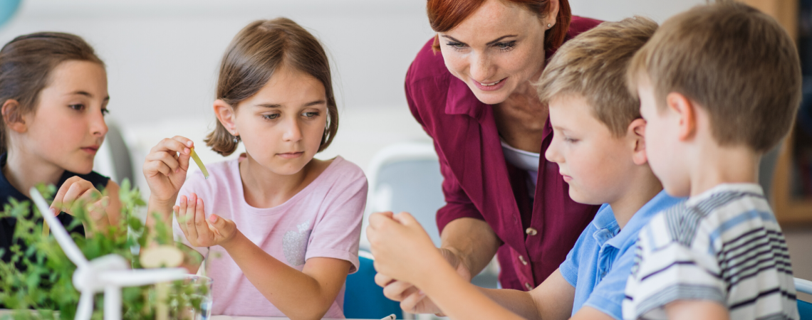 Comment montrer l'énergie verte aux enfants?